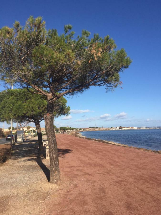 Ferienwohnung la scribote Marseillan  Exterior foto